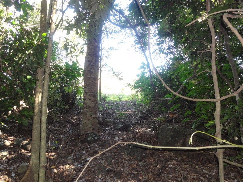 Lot 10 Camille Drive, Strathdickie QLD 4800