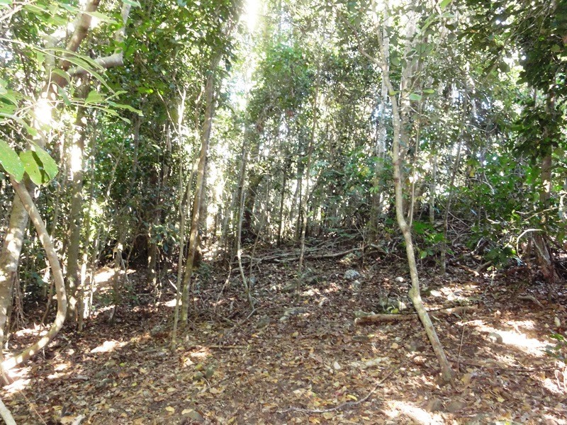 Lot 10 Camille Drive, Strathdickie QLD 4800