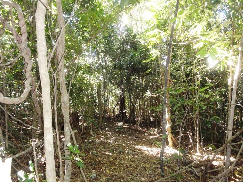 Lot 10 Camille Drive, Strathdickie QLD 4800