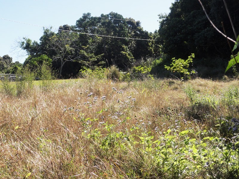 Lot 10 Camille Drive, Strathdickie QLD 4800