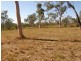 2 O’Flynn Crescent, Midge Point QLD 4799