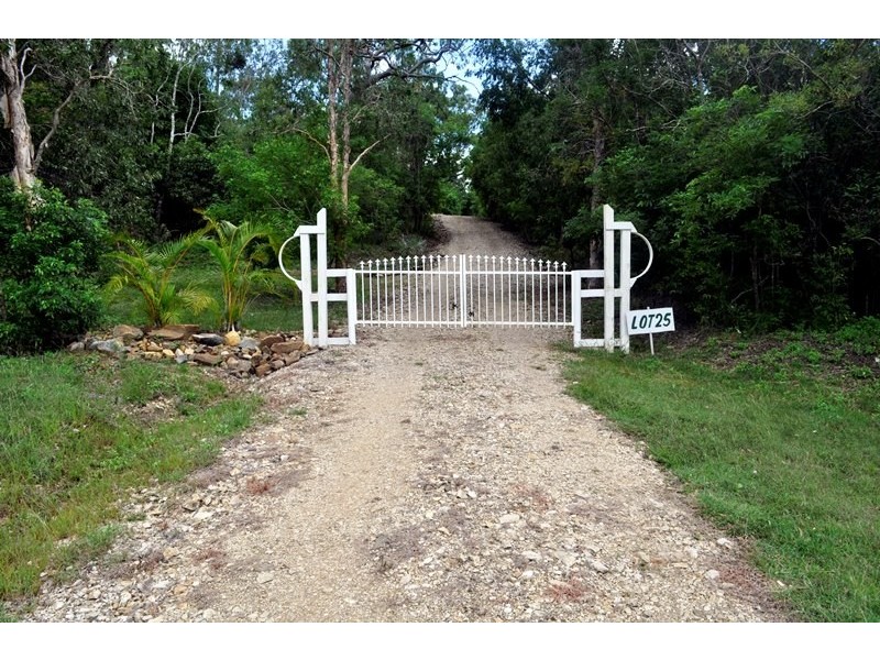 339 Midge Point Road, Bloomsbury QLD 4799