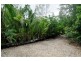 339 Midge Point Road, Bloomsbury QLD 4799