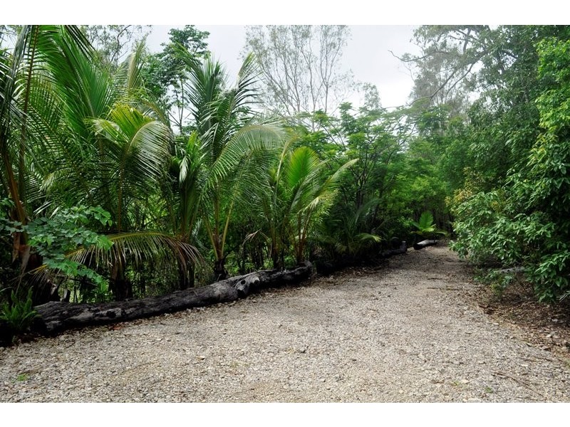 339 Midge Point Road, Bloomsbury QLD 4799