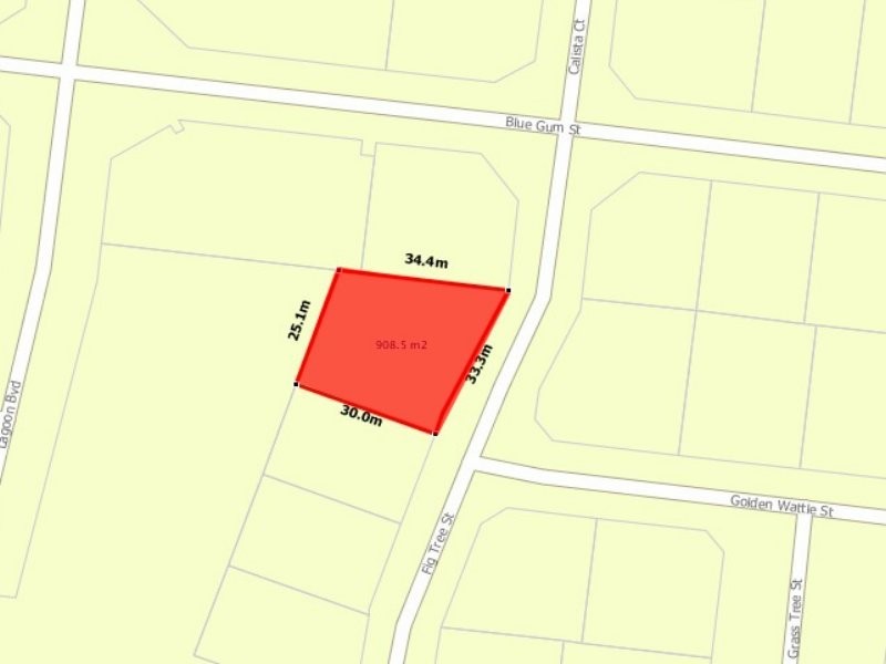 4 fig tree, Proserpine QLD 4800