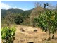 71 Hibiscus Road, Cannon Valley QLD 4800