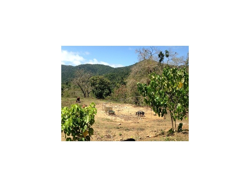 71 Hibiscus Road, Cannon Valley QLD 4800