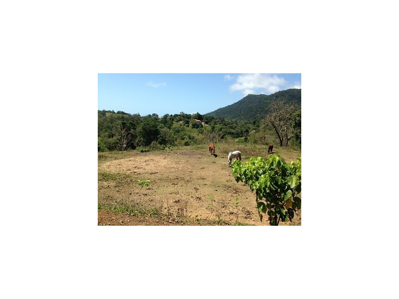 71 Hibiscus Road, Cannon Valley QLD 4800