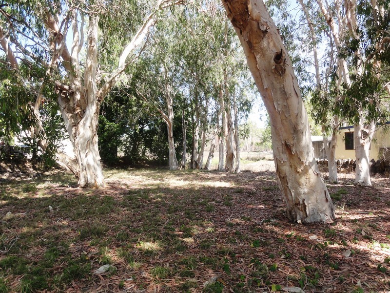 2 Pioneer Drive, Dingo Beach QLD 4800