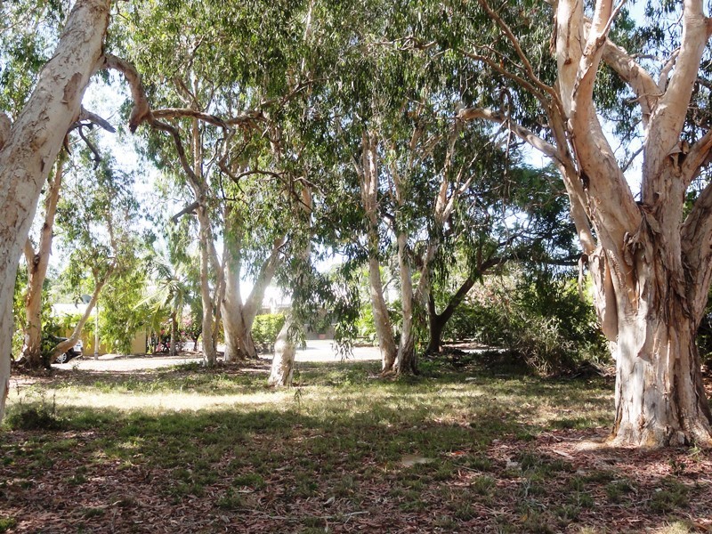 2 Pioneer Drive, Dingo Beach QLD 4800