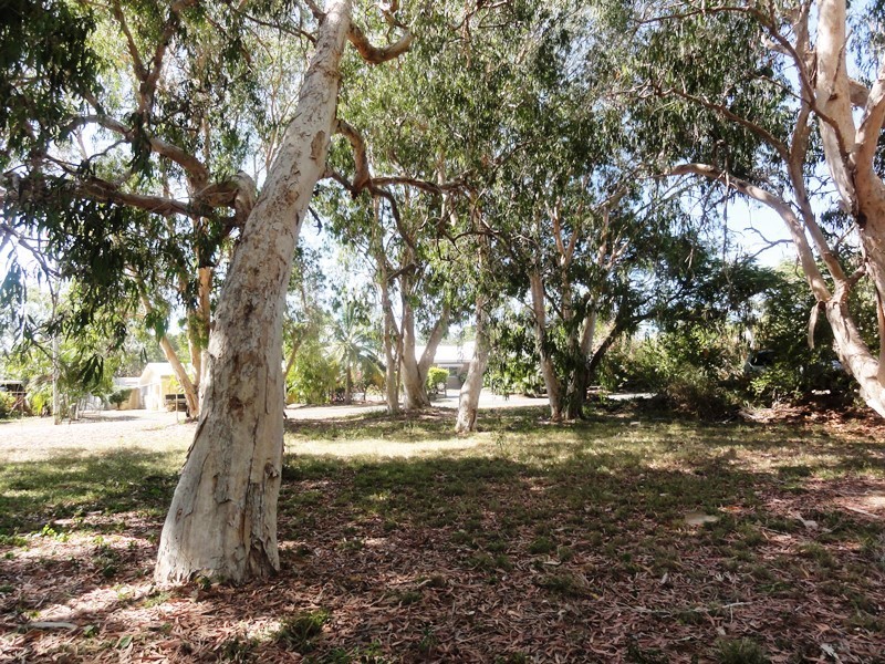 2 Pioneer Drive, Dingo Beach QLD 4800