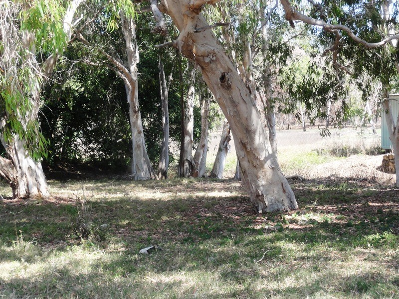 2 Pioneer Drive, Dingo Beach QLD 4800
