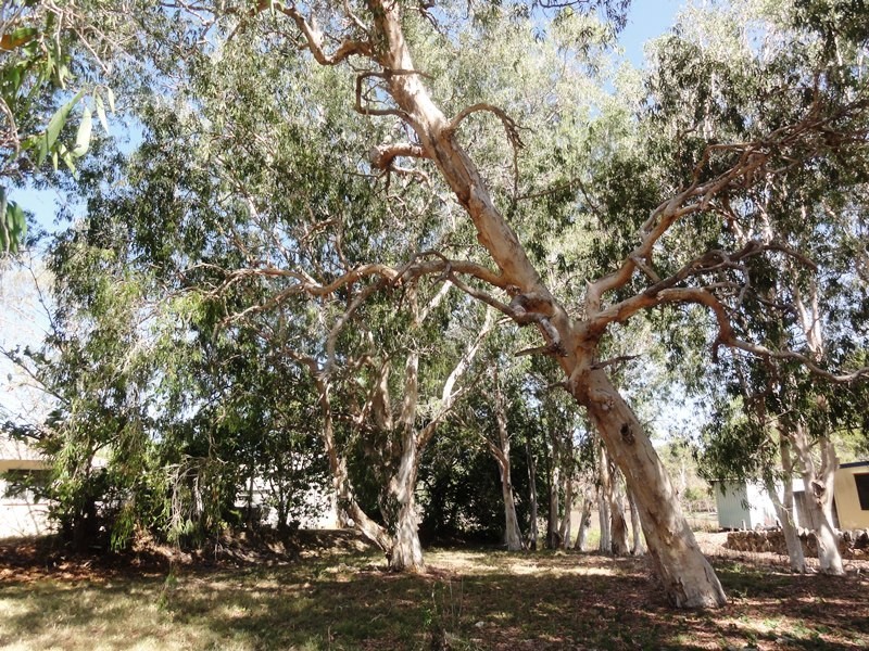 2 Pioneer Drive, Dingo Beach QLD 4800