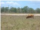 Lot 2 Kelsey Creek Road, Proserpine QLD 4800
