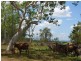 Lot 2 Kelsey Creek Road, Proserpine QLD 4800