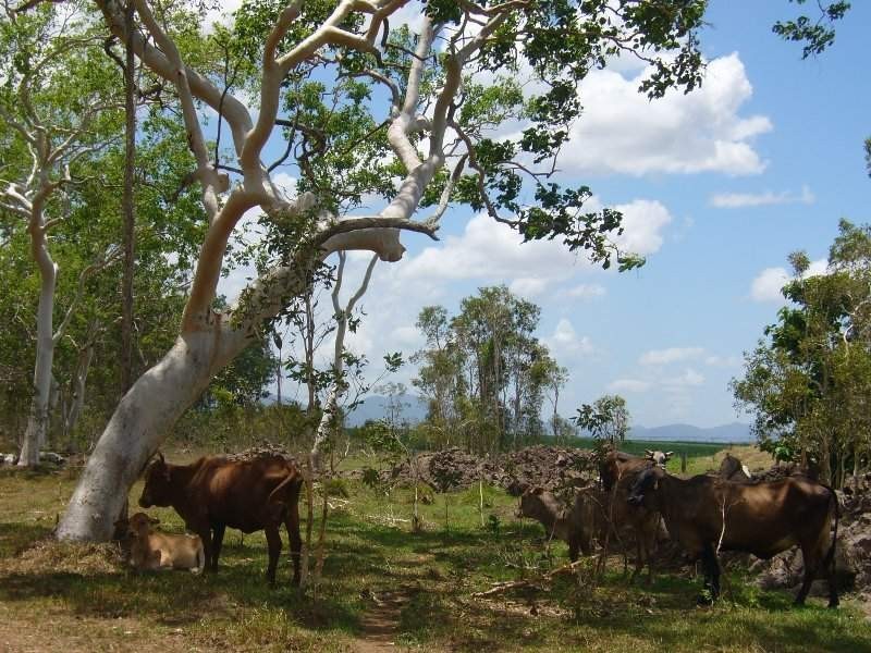 Lot 2 Kelsey Creek Road, Proserpine QLD 4800