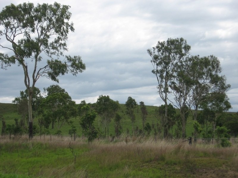 Lot 5 Bruce Highway, Bloomsbury QLD 4799