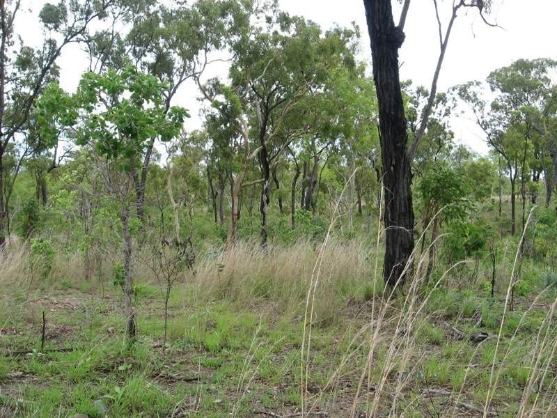 Lot 5 Bruce Highway, Bloomsbury QLD 4799