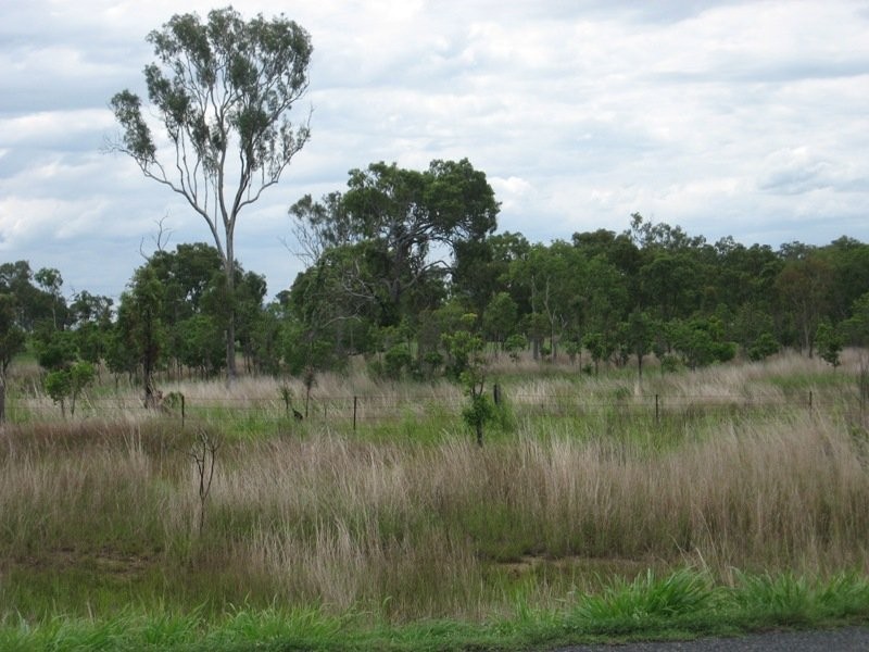 Lot 5 Bruce Highway, Bloomsbury QLD 4799