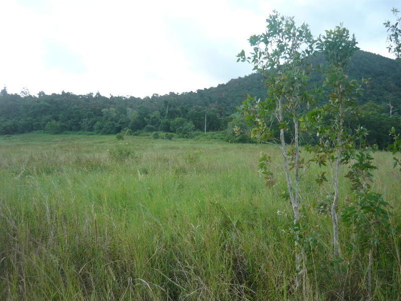 Lot 1 Monaghan Road, Conway QLD 4800