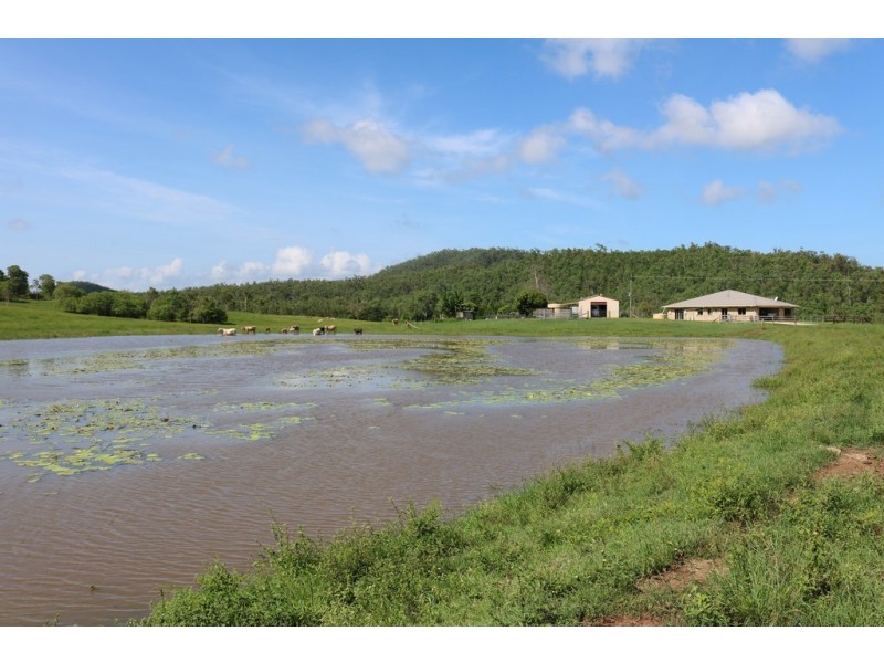 424 Exmoor Road, Bloomsbury QLD 4799