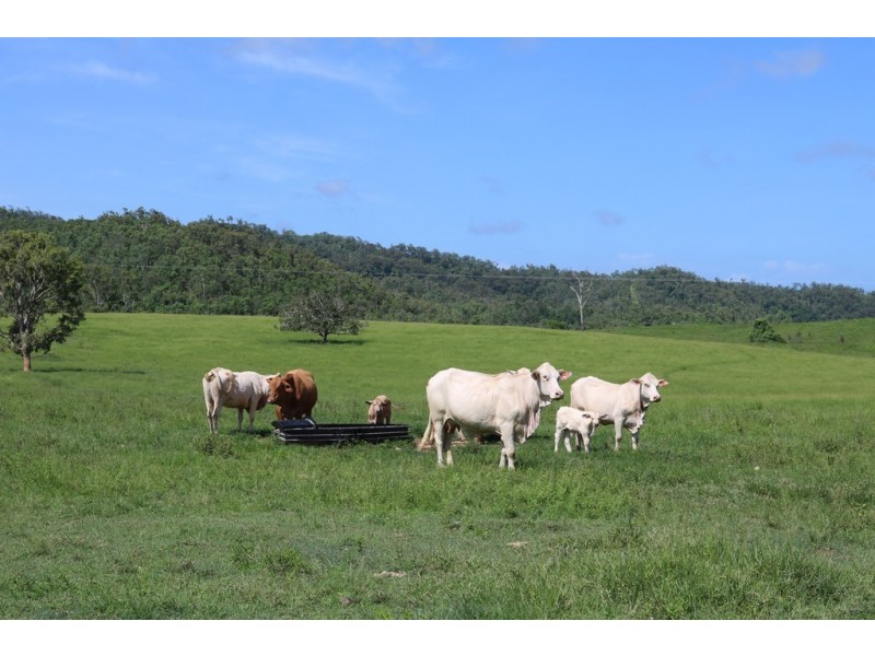 424 Exmoor Road, Bloomsbury QLD 4799