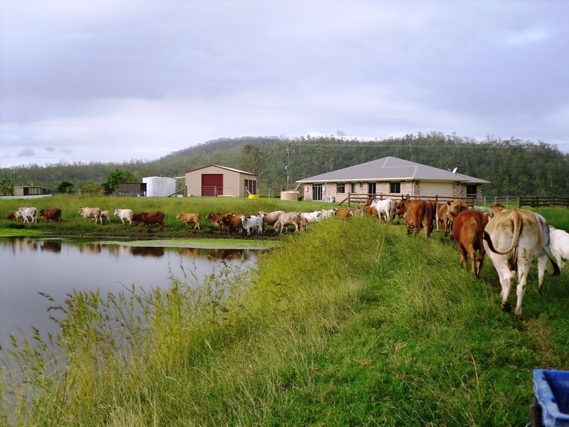 424 Exmoor Road, Bloomsbury QLD 4799