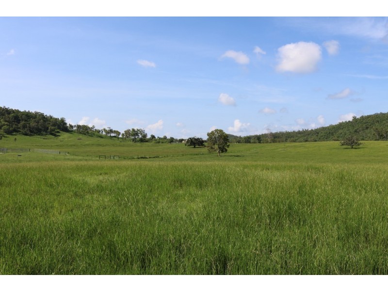 424 Exmoor Road, Bloomsbury QLD 4799