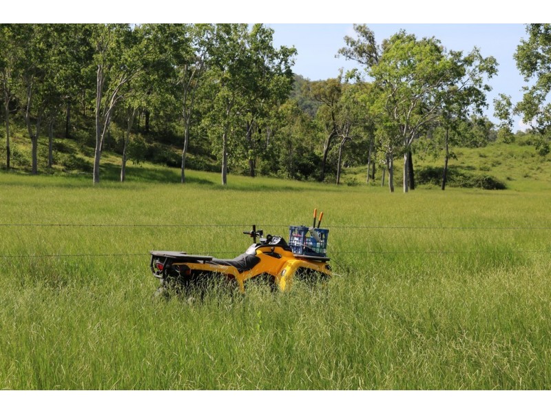 424 Exmoor Road, Bloomsbury QLD 4799