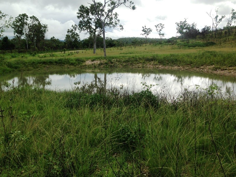 Lot 20 Exmoor Road, Bloomsbury QLD 4799