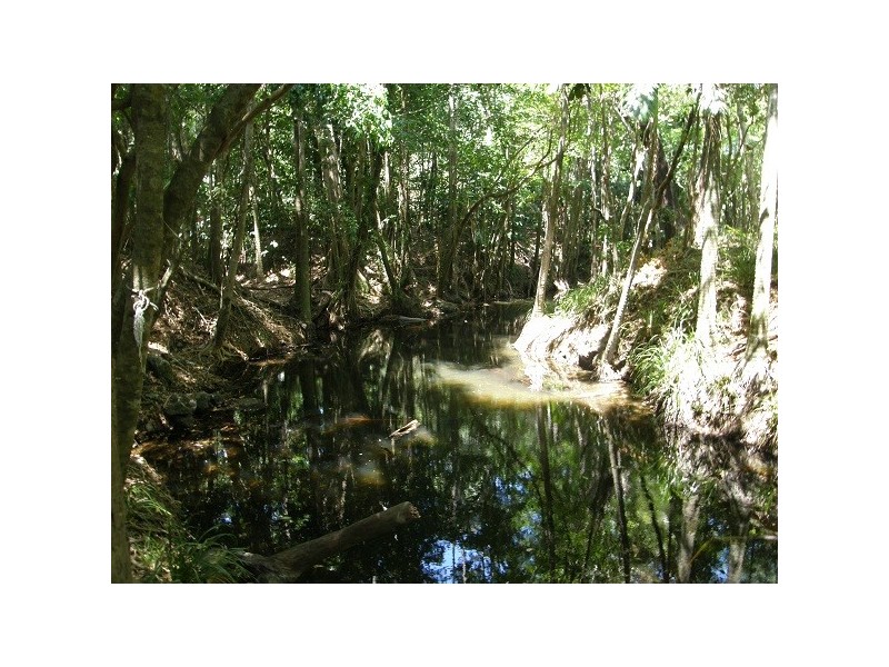 Lot 5 Mountney Road, Strathdickie QLD 4800