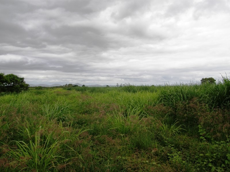 320 Lethebrook Road, Lethebrook QLD 4800