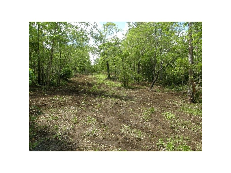 Lot 20 Lelona Drive, Bloomsbury QLD 4799