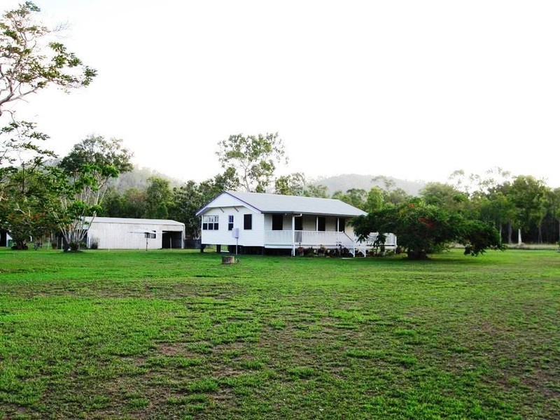 1358 Midge Point Road, Midge Point QLD 4799