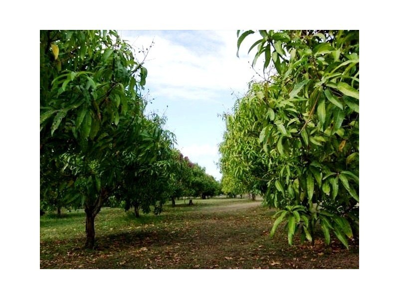 7 Lindeman Drive, Bloomsbury QLD 4799