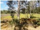 4 Pioneer Drive, Dingo Beach QLD 4800