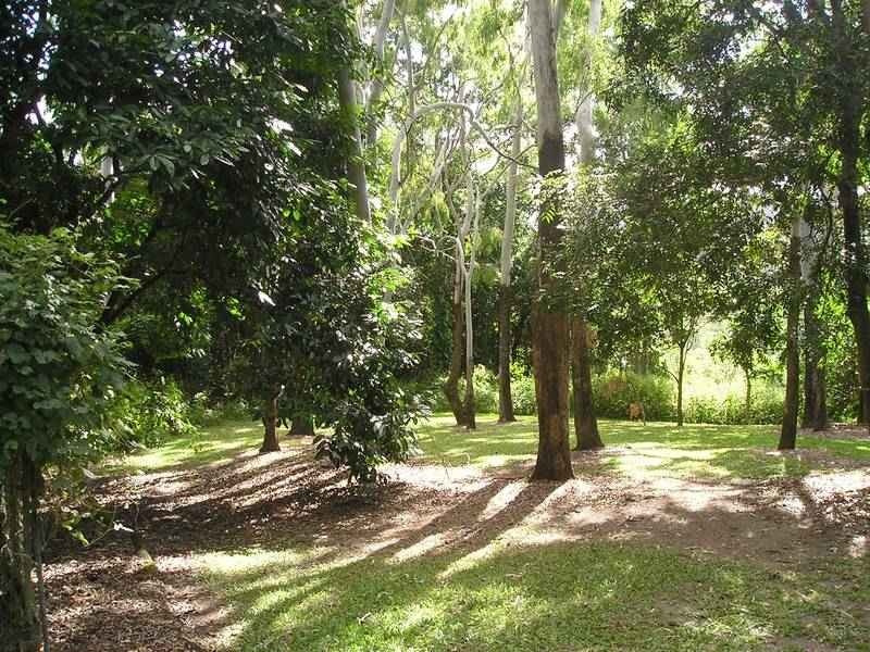 Proserpine QLD 4800