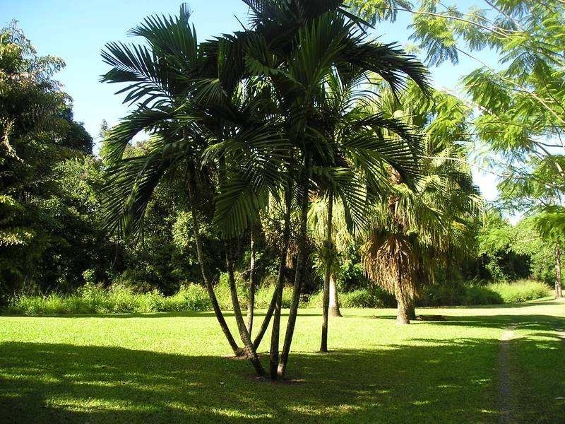 Proserpine QLD 4800