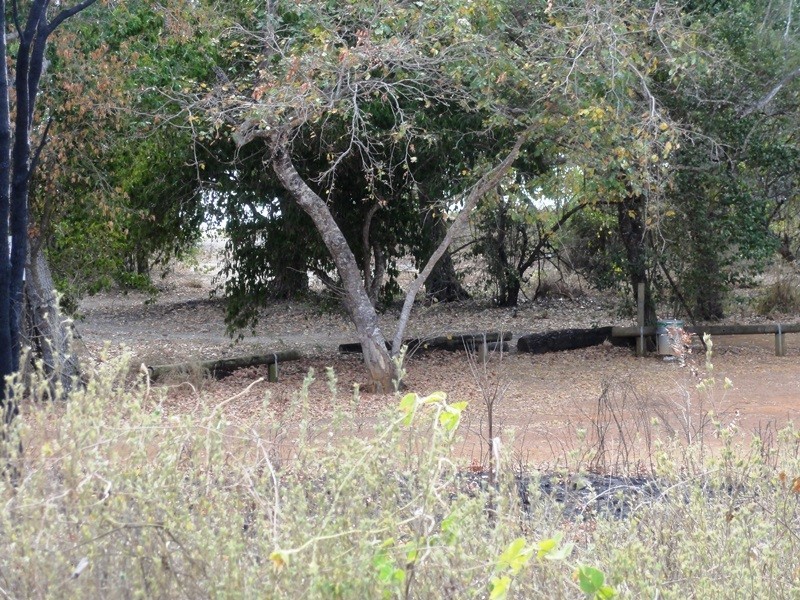 2 Olive Drive, Dingo Beach QLD 4800