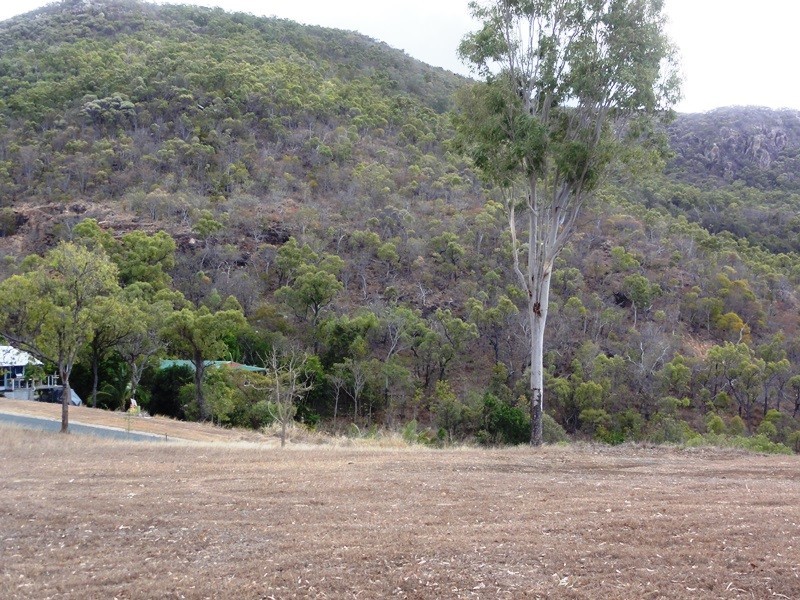 29 Roseric Crescent, Hideaway Bay QLD 4800