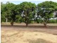 10 Bundesen Avenue, Midge Point QLD 4799