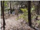 Lot 65 of 8 Gloucester Avenue, Hideaway Bay QLD 4800