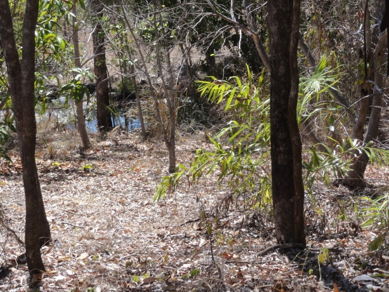 Lot 65 of 8 Gloucester Avenue, Hideaway Bay QLD 4800
