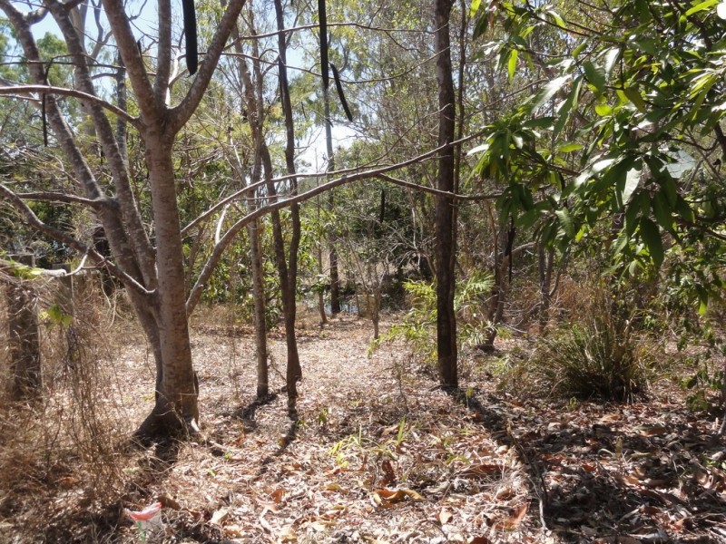 Lot 65 of 8 Gloucester Avenue, Hideaway Bay QLD 4800