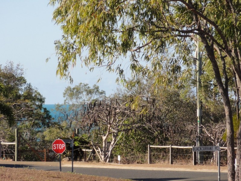 84 Blackcurrent Drive, Hideaway Bay QLD 4800