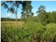 520 Whitsunday Drive, Bloomsbury QLD 4799