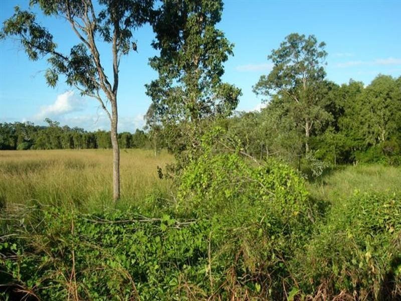 520 Whitsunday Drive, Bloomsbury QLD 4799
