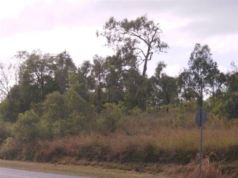 Lot 515 Whitsunday Drive, Midge Point QLD 4799