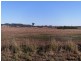 Lot 68 Lindeman Drive, Bloomsbury QLD 4799