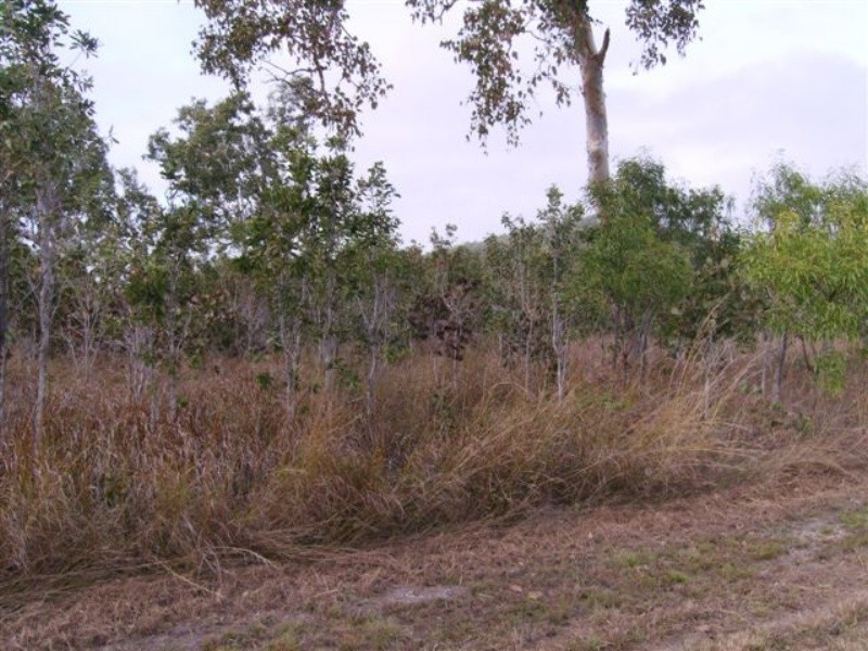 Lots 13-14  Midge Point Road, Midge Point QLD 4799